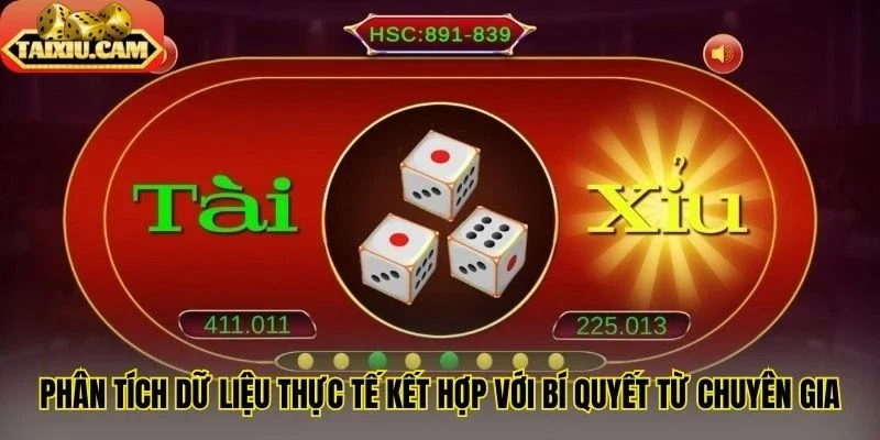 Phân tích dữ liệu thực tế kết hợp với bí quyết từ chuyên gia